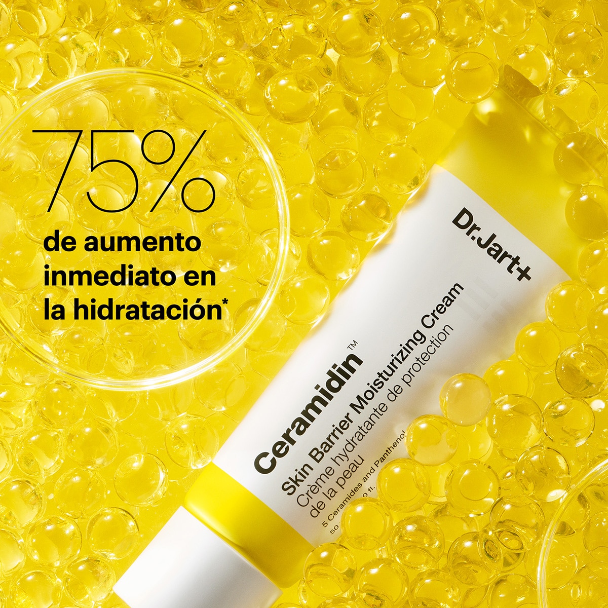 CERAMIDIN™ SKIN BARRIER MOISTURIZING CREAM (CREMA HUMECTANTE)